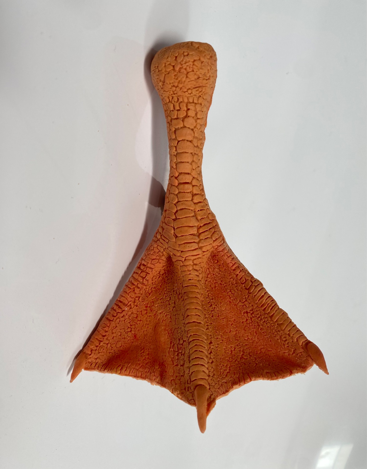 Pata de pato