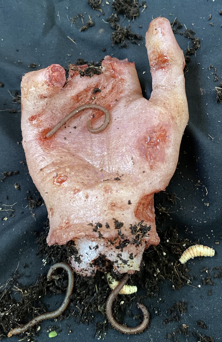 Mano en descomposición